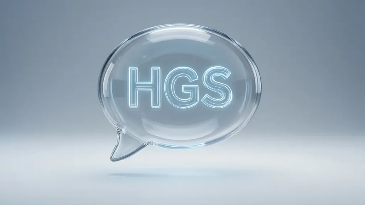 HGS Meaning: Understanding This Slang Term in Digital Communication