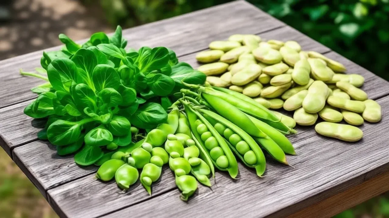 Vegetables That Start With V: A Complete List and Garden Guide